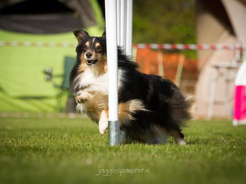 5-en-6-mei-kc-hoogeveen-10-gallery-photo-thumb