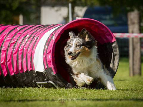 5-en-6-mei-kc-hoogeveen-12-gallery-photo-thumb