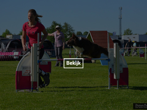 5-en-6-mei-kc-hoogeveen-14-gallery-photo-thumb