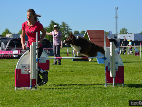 5-en-6-mei-kc-hoogeveen-14-gallery-photo-thumb