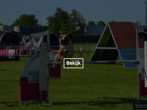 5-en-6-mei-kc-hoogeveen-17-gallery-photo-thumb