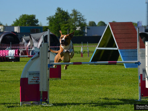 5-en-6-mei-kc-hoogeveen-17-gallery-photo-thumb