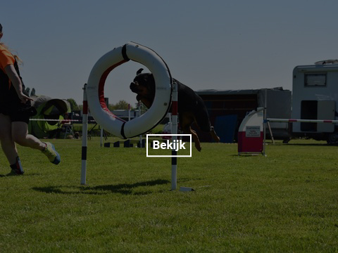 5-en-6-mei-kc-hoogeveen-20-gallery-photo-thumb