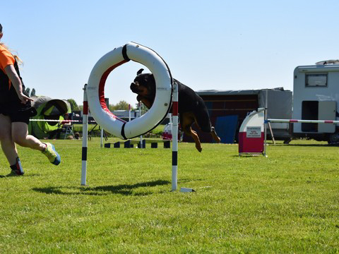 5-en-6-mei-kc-hoogeveen-20-gallery-photo-thumb