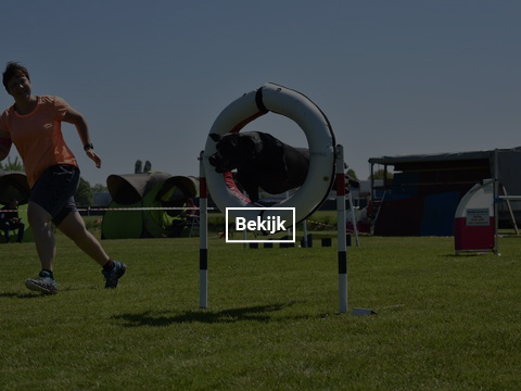 5-en-6-mei-kc-hoogeveen-24-gallery-photo-thumb