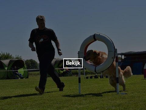 5-en-6-mei-kc-hoogeveen-27-gallery-photo-thumb