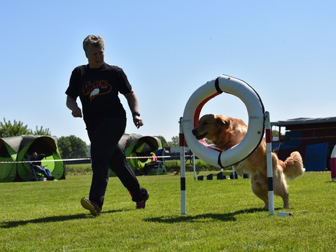 5-en-6-mei-kc-hoogeveen-27-gallery-photo-thumb