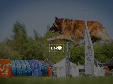 5-en-6-mei-kc-hoogeveen-4-gallery-photo-thumb