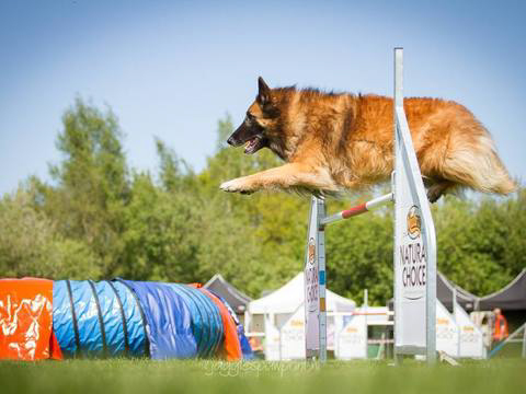 5-en-6-mei-kc-hoogeveen-4-gallery-photo-thumb