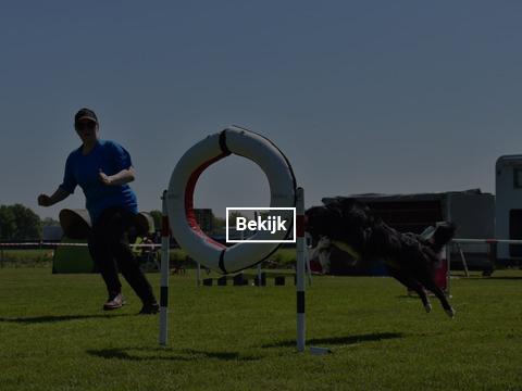 5-en-6-mei-kc-hoogeveen-5-gallery-photo-thumb