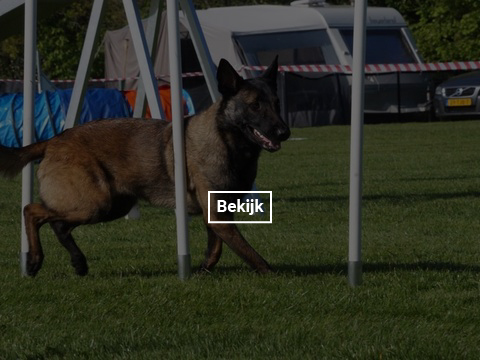 5-en-6-mei-kc-hoogeveen-6-gallery-photo-thumb