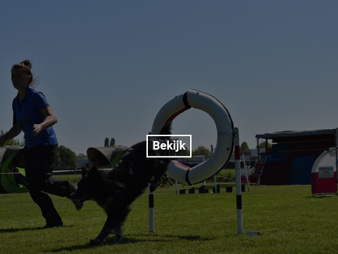 5-en-6-mei-kc-hoogeveen-8-gallery-photo-thumb