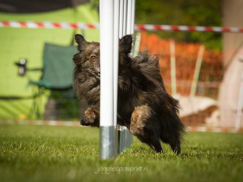 5-en-6-mei-kc-hoogeveen-9-gallery-photo-thumb