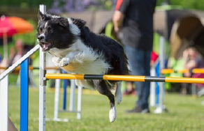 agility-agility-newsthumb