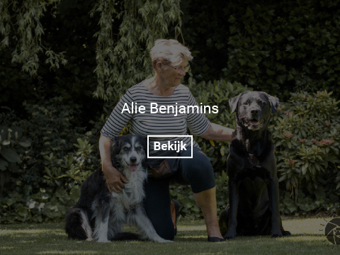 alie-benjamins