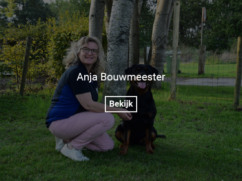 anja-bouwmeester