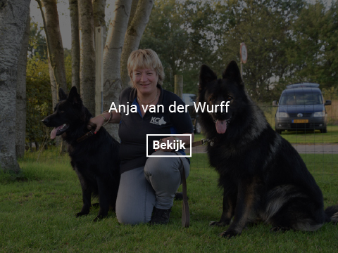 anja-van-der-wurff