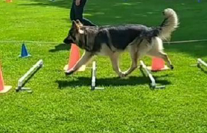 cirkeltraining-videocapture-20250911-175121-newsthumb