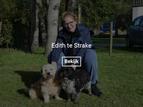 edith-te-strake