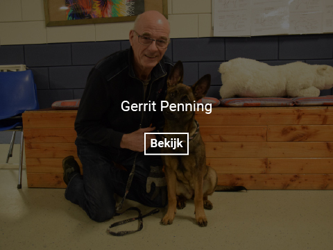 gerrit-penning