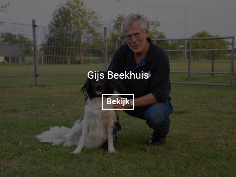 gijs-beekhuis