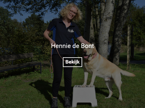 hennie-de-bont