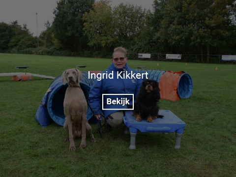 ingrid-kikkert