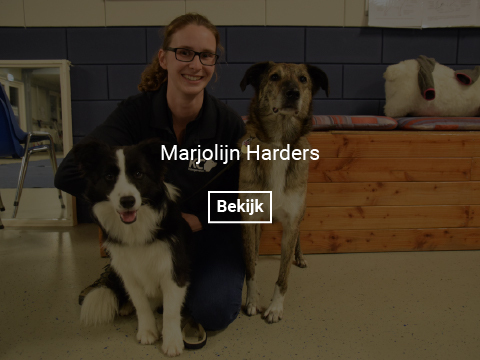 marjolijn-harders