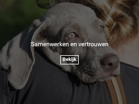 samenspel-gallery-photo-thumb 2
