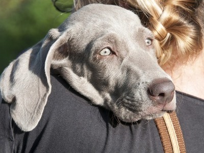 samenspel-gallery-photo-thumb