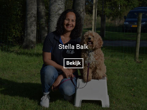 stella-balk