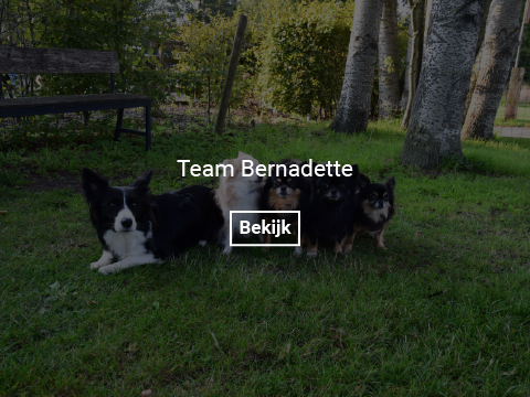 team-bernadette
