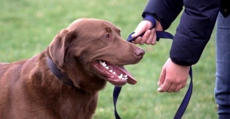 Examens_pagebanner