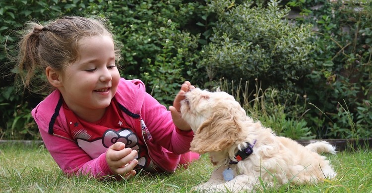 Kind_hond_pagebanner