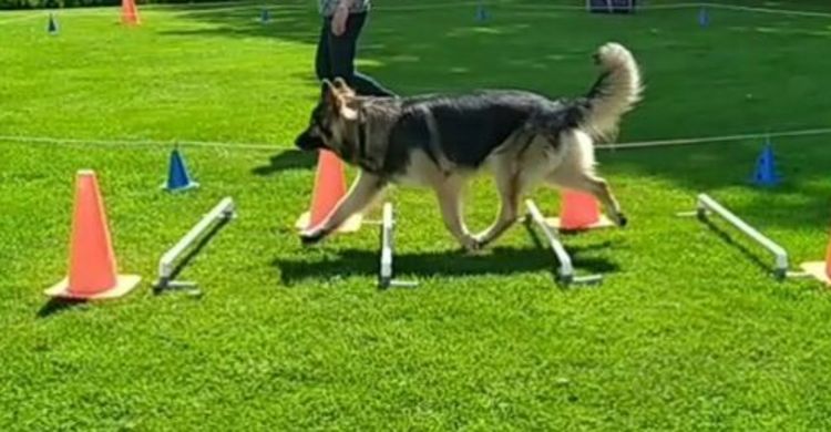 Videocapture_20250911-175121_pagebanner