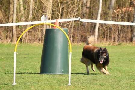 Hoopers2026_news_detail