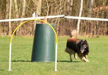 Hoopers2026_newsthumb