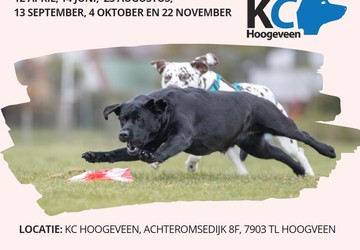 Coursing_2026_newsthumb